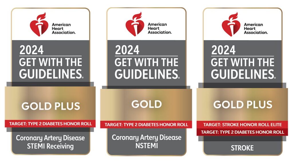 2024 American Heart Association Get With The Guidelines STEMI Gold Plus Target Type 2 NSTEMI Gold Target Type 2 Stroke Gold Plus Target Stroke Honor Roll Elite Target Type 2 Diabetes logo