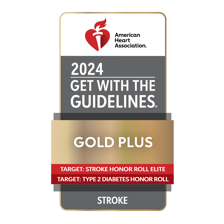 2024 American Heart Association Get With The Guidelines Gold Plus Stroke Elite Type 2 Diabetes logo